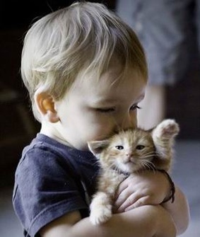 河南开封试管婴儿医院排名TOP5，费用透明更放心