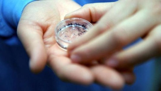 国内第三方助孕公司试管婴儿的费用是多少？如何选择合适的私人助