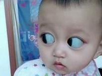 杭州试管婴儿助孕服务，哪家机构更值得信赖？