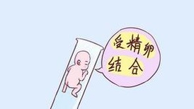 「免排队」重庆妇幼保健院医院试管婴儿成功率高吗？一次试管能不